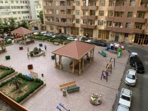 Gulustan Apartment